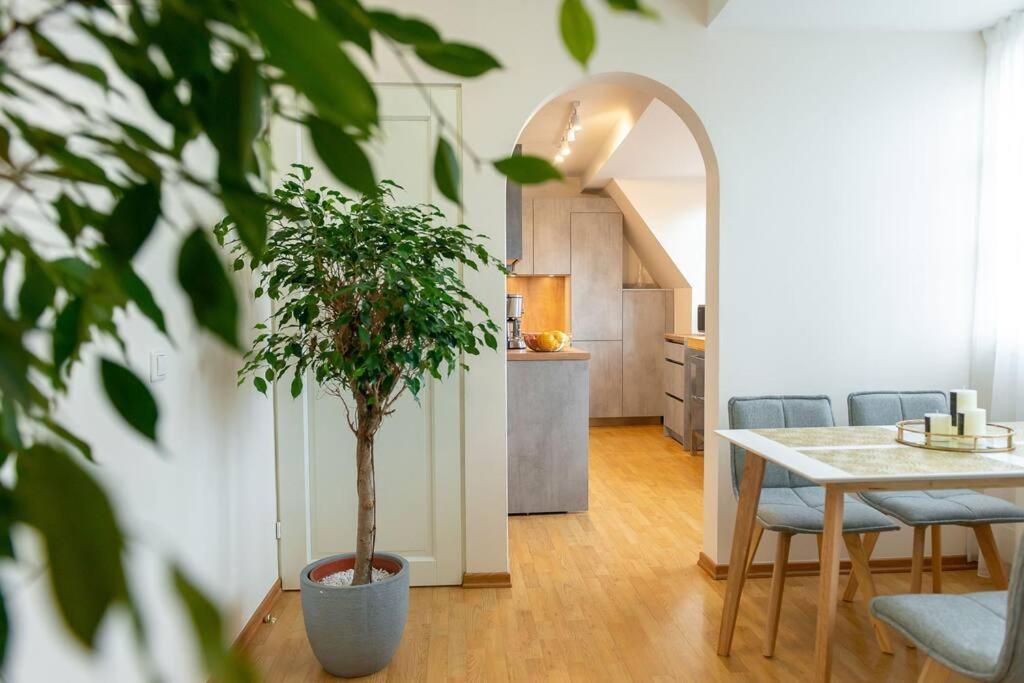 Apartment Floor With Two Balconies In The Old Town Tallinn